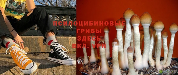 дурь Алексин