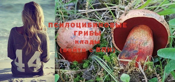 дурь Алексин