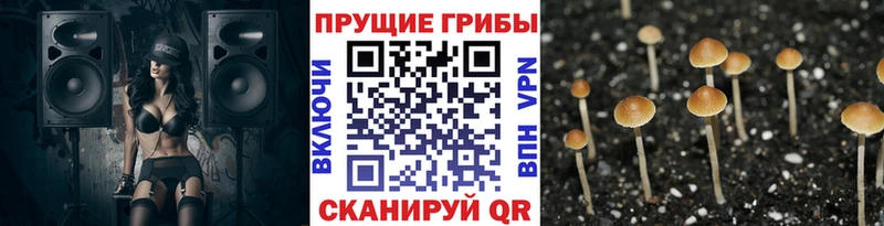 цены   Макушино  Галлюциногенные грибы прущие грибы 